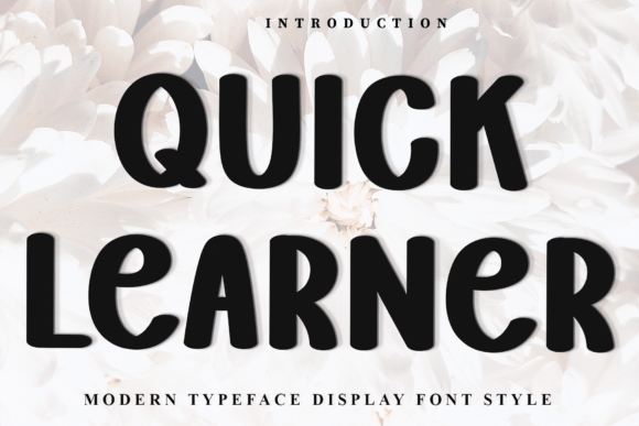 Quick Learner Font: Soft Style for Creative Projects